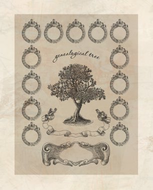 Aile Ağacı
