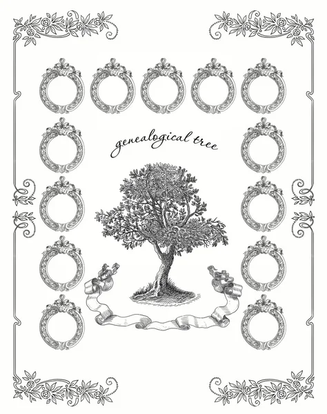 Albero genealogico — Foto Stock