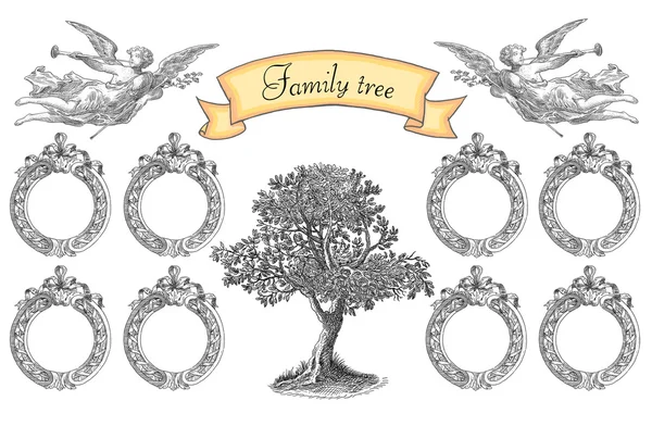 Family tree — Stock Photo, Image