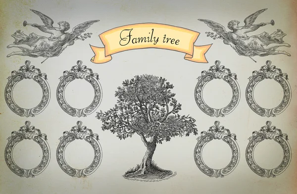 Albero genealogico — Foto Stock