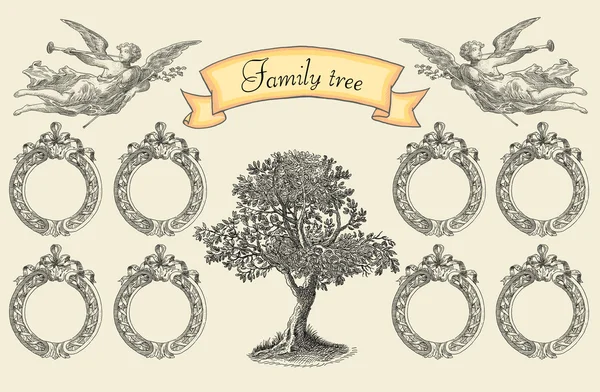 Albero genealogico — Foto Stock