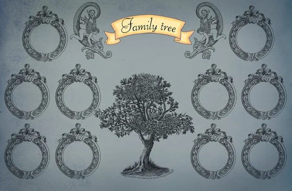 Генеалогічне дерево ілюстрація — стокове фото