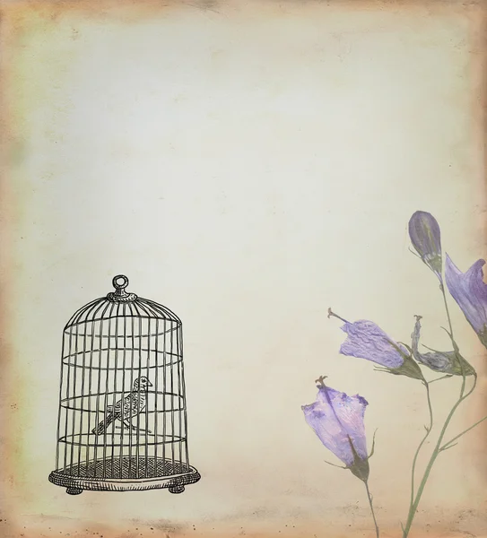 Cage with bird drawn in retro style — Stock Photo, Image