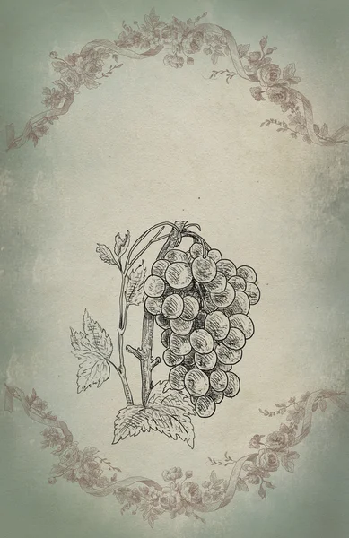 Illustration de vignoble — Photo