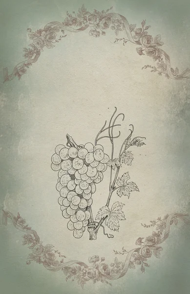 Illustration de vignoble — Photo