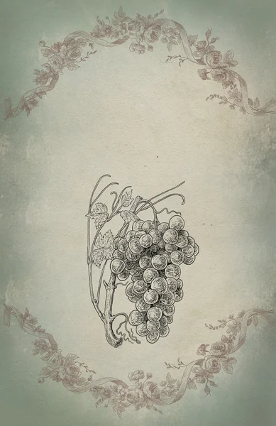 Ilustración del viñedo —  Fotos de Stock