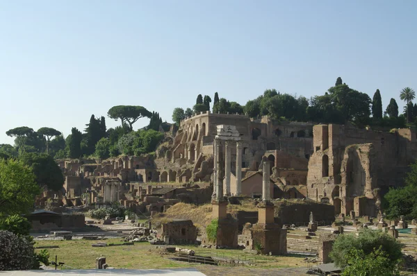 Kalıntıları Roma Forumu (foro romano), Roma, İtalya로마 포럼의 유적 (foro romano) 로마, 이탈리아 — Stok fotoğraf