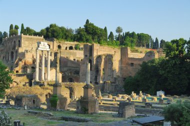 kalıntıları Roma Forumu (foro romano), Roma, İtalya로마 포럼의 유적 (foro romano) 로마, 이탈리아