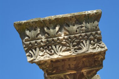 kalıntıları Roma Forumu (foro romano), Roma, İtalya로마 포럼의 유적 (foro romano) 로마, 이탈리아