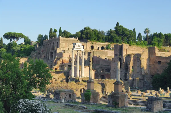 Rovine del Foro Romano a Roma, Italia — Foto Stock