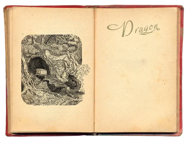 Dragon illustratie — Stockfoto