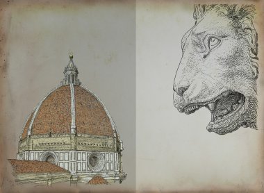 Floransa görünümü