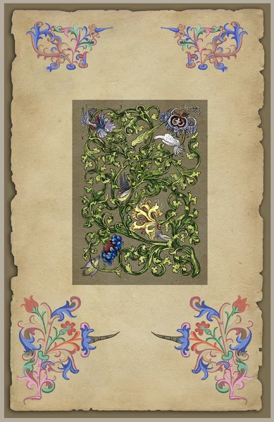 Old floral illustration — Stock Photo, Image