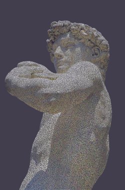 Michelangelo'nun David