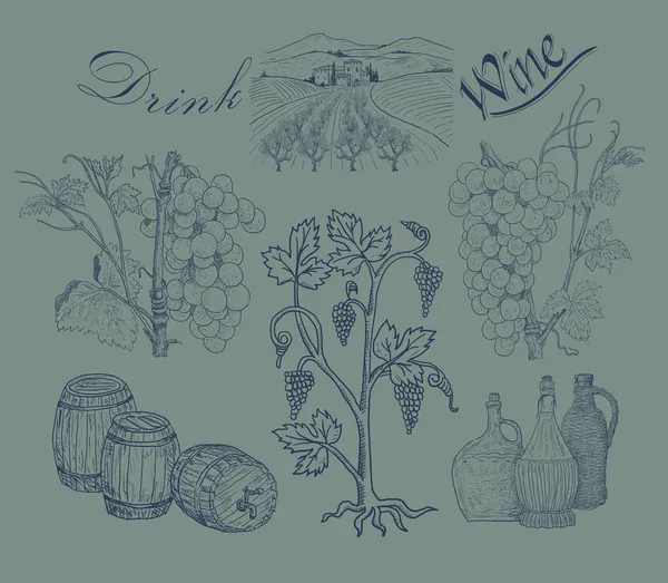 Illustrazione vino — Foto Stock