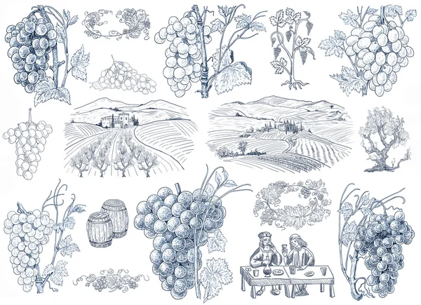 Illustrazione vino — Foto Stock