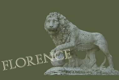 Floransa görünümü