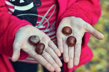 kestane elinde vardır
