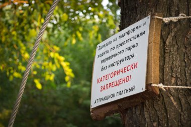 bir tanga parkta genç bir kız
