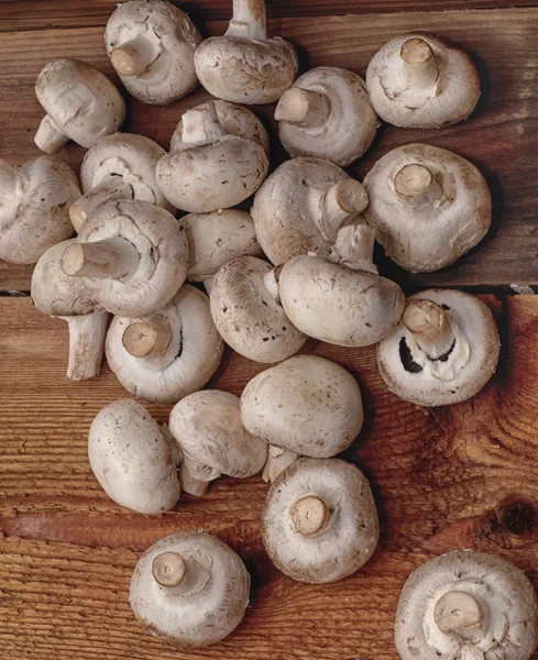 Mushrooms are healthy food.Vegetarianism — Stock Photo, Image