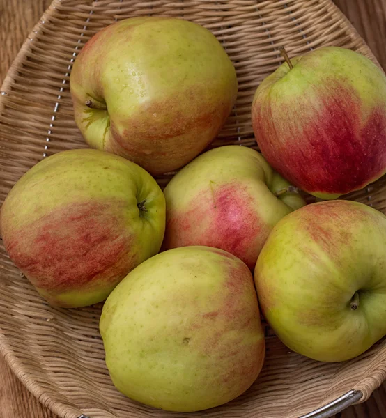 Elma koleksiyonları — Stok fotoğraf
