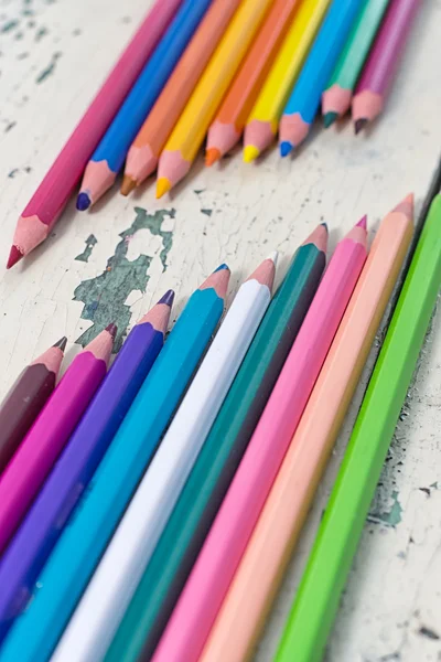 Crayons de couleurs sont sur un fond d'arbre — Photo