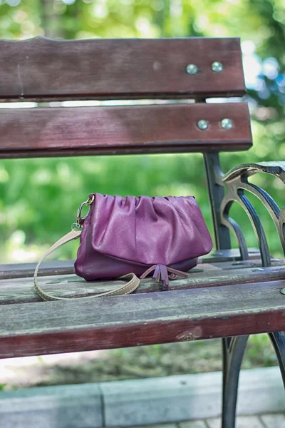 Forgotten Dorothy bag in a park on a bench — Stock Photo, Image