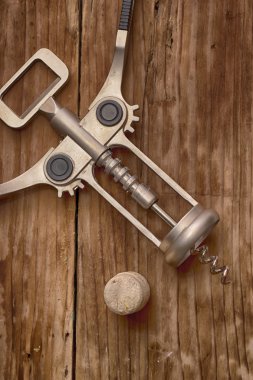 mantar-vida mantarlar açılması için