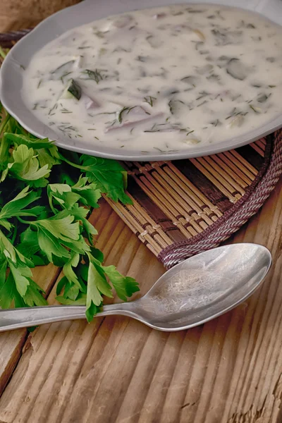 季節の冷製スープ野菜から — ストック写真