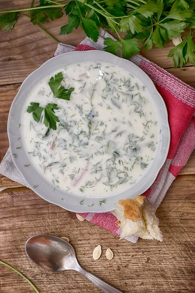 Seasonal chilled soup from vegetables — Stock Photo, Image