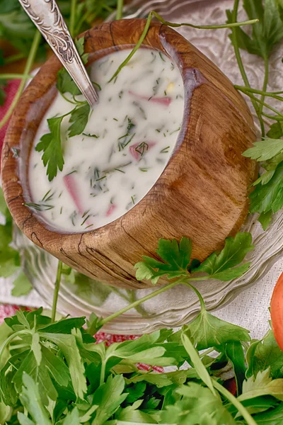 Seasonal chilled soup from vegetables — Stock Photo, Image