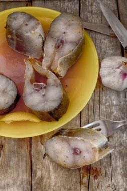 taze balık turşusu