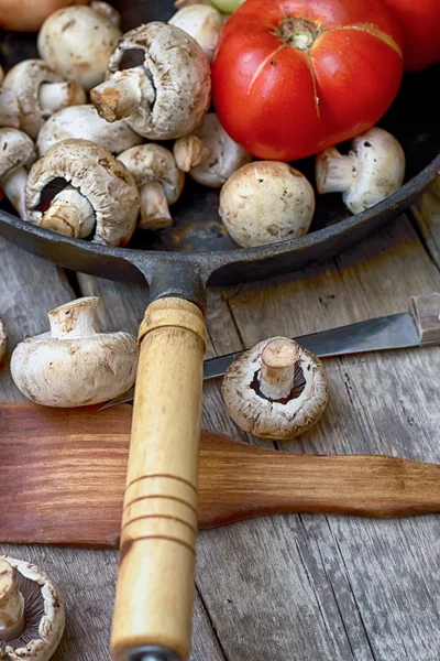 Mushrooms — Stock Photo, Image