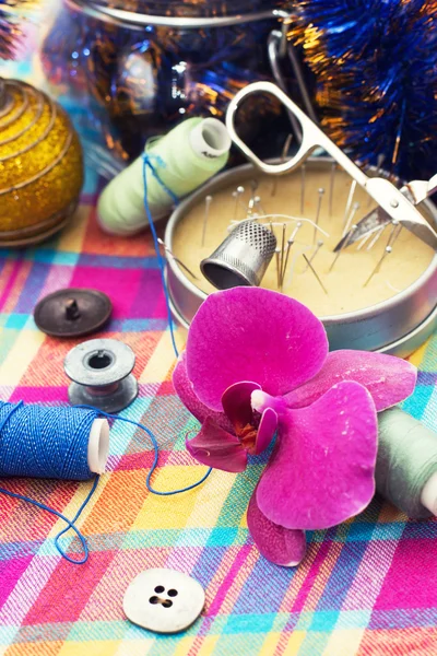 Button,the thread — Stock Photo, Image