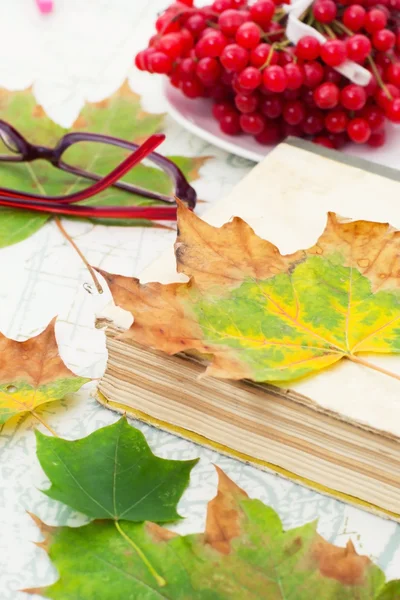 Libro viejo salpicado de hojas en el jardín — Foto de Stock