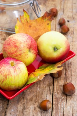 elma sonbaharda hasat