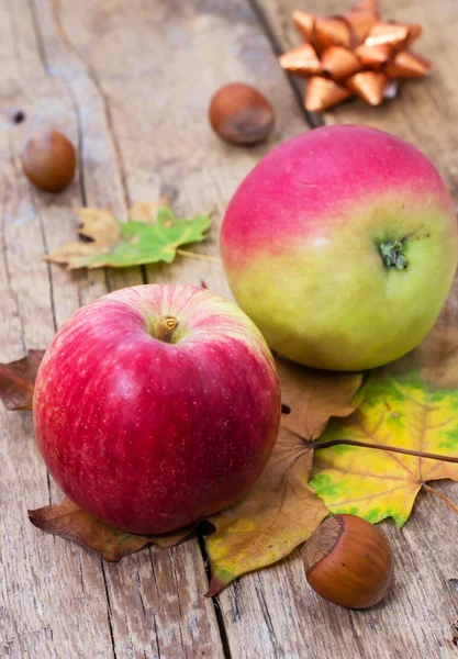 Herbsternte der Äpfel — Stockfoto