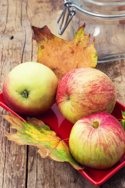 Ripe fragrant apples — Stock Photo, Image