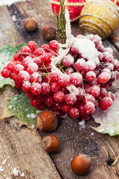 Frugter viburnum - Stock-foto