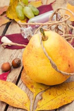 Armut sonbaharda hasat