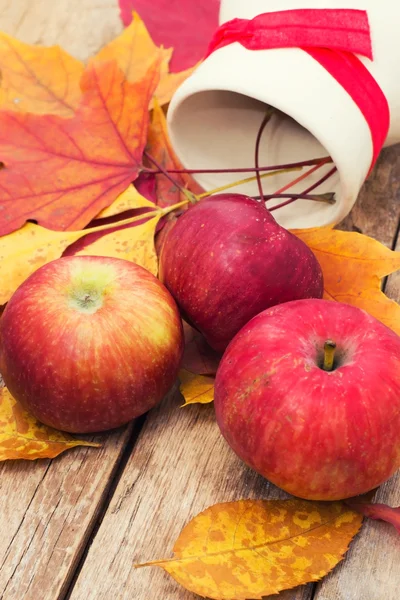 Ripe,sweet apple autumn harvest — Stock Photo, Image