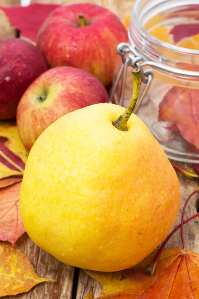 Reife, süße Apfelernte im Herbst — Stockfoto