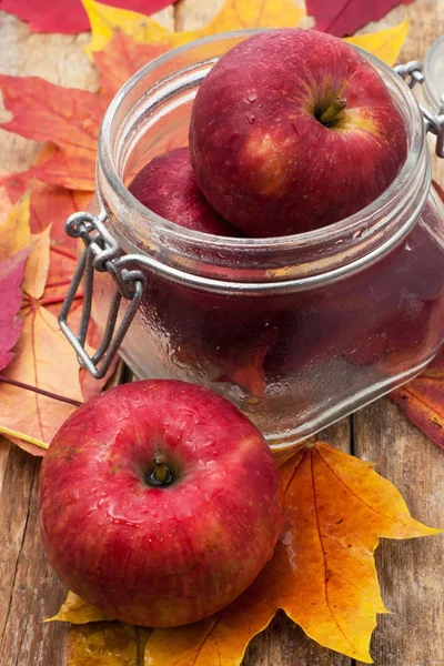 Ripe,sweet apple autumn harvest — Stock Photo, Image