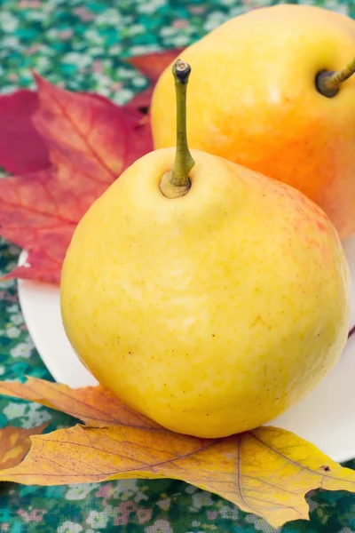 Pear — Stock Photo, Image