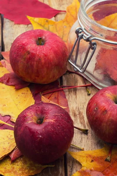 Maturo, dolce raccolto autunnale di mele — Foto Stock