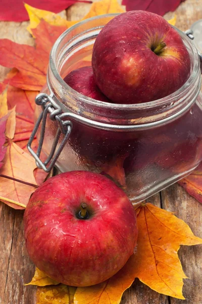 Ripe,sweet apple autumn harvest — Stock Photo, Image