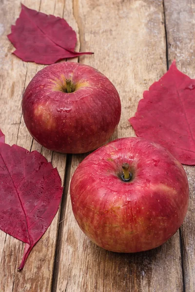 Ripe,sweet apple — Stock Photo, Image