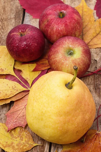 Ripe,sweet apple — Stock Photo, Image