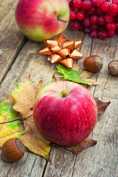 Apfelernte im Herbst — Stockfoto