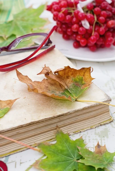 Old book spangled leaves in the garden — Stock Photo, Image